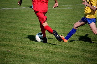 九游下载中心-拳击国家队备战亚运 实施精英训练计划，拳击亚军奖杯照片